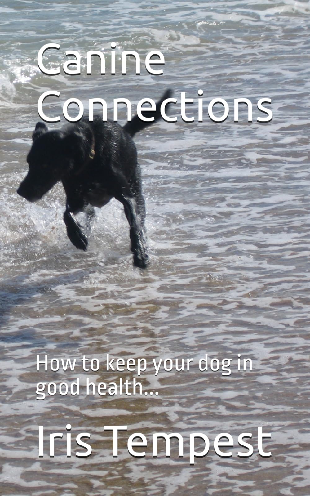 Canine Connections: How to keep your dog in good health...