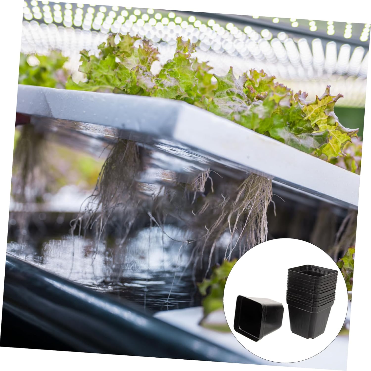 120Pcs Square Plastic Seedling Pots with Drainage Holes Lightweight Nursery Planters for Succulent Flower Planting for Outdoor and Indoor Gardening