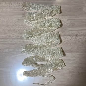 Amazon.co.jp: 白蛇 抜け殻 金運 幸運 開運 : おもちゃ