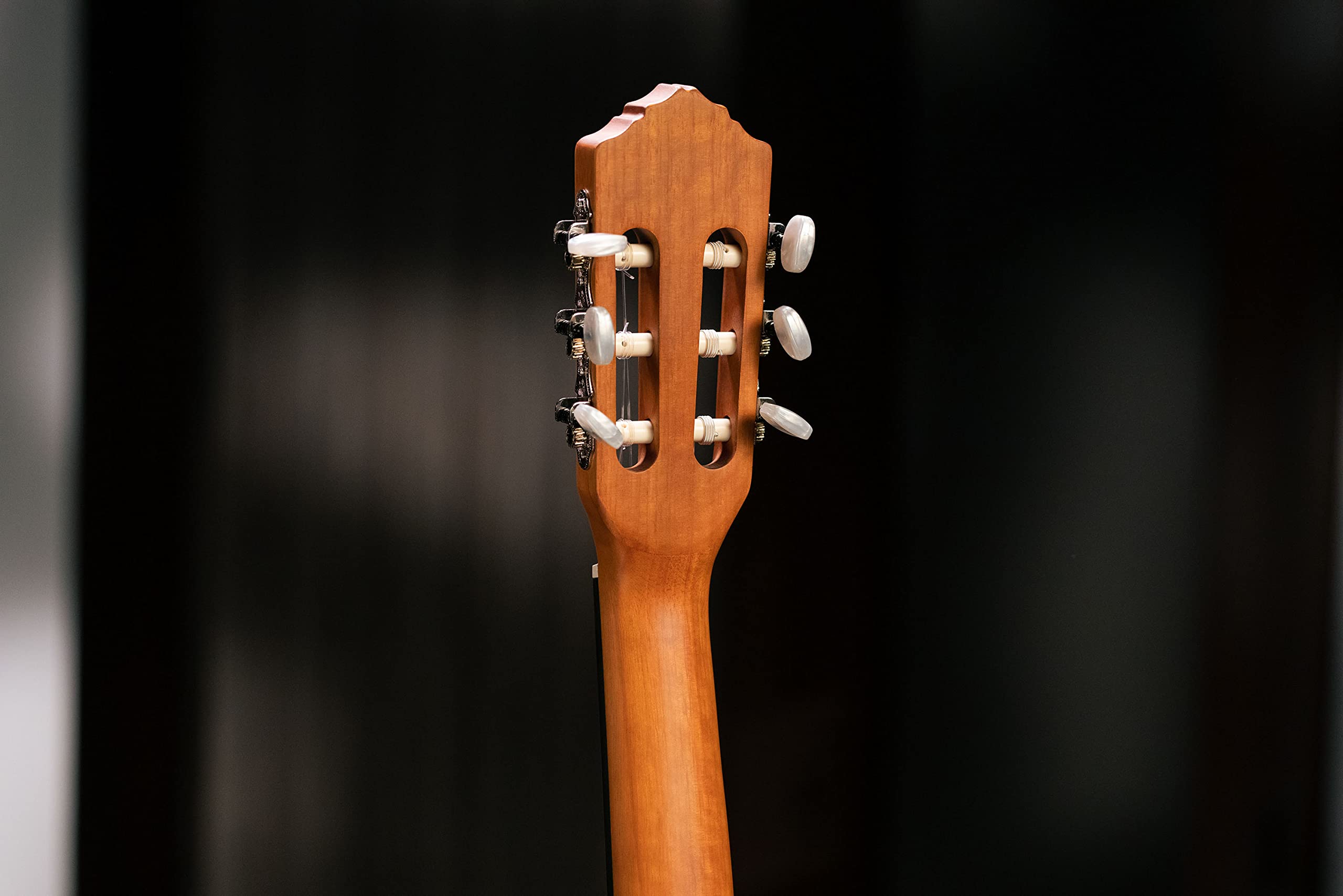 Ortega Guitars Chitarra Concerto Misura 7/8 - Serie Family - include Gig Bag - Top in mogano/cedro (R122-7/8)