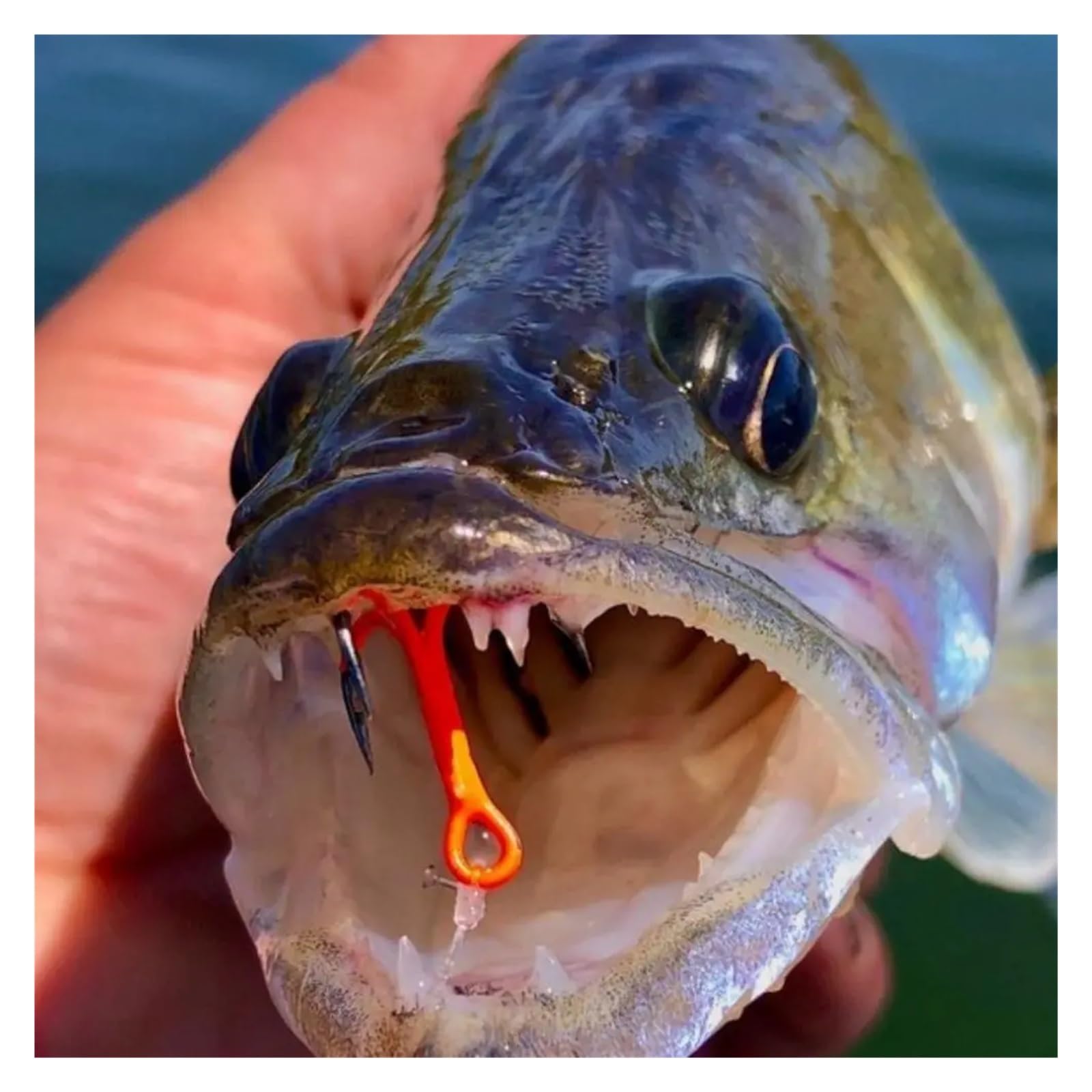 Générique 2 hameçons triples Solides avec revêtement UV, leurre Orange, Crochet de pêche en Acier au Carbone, Bar d'eau salée
