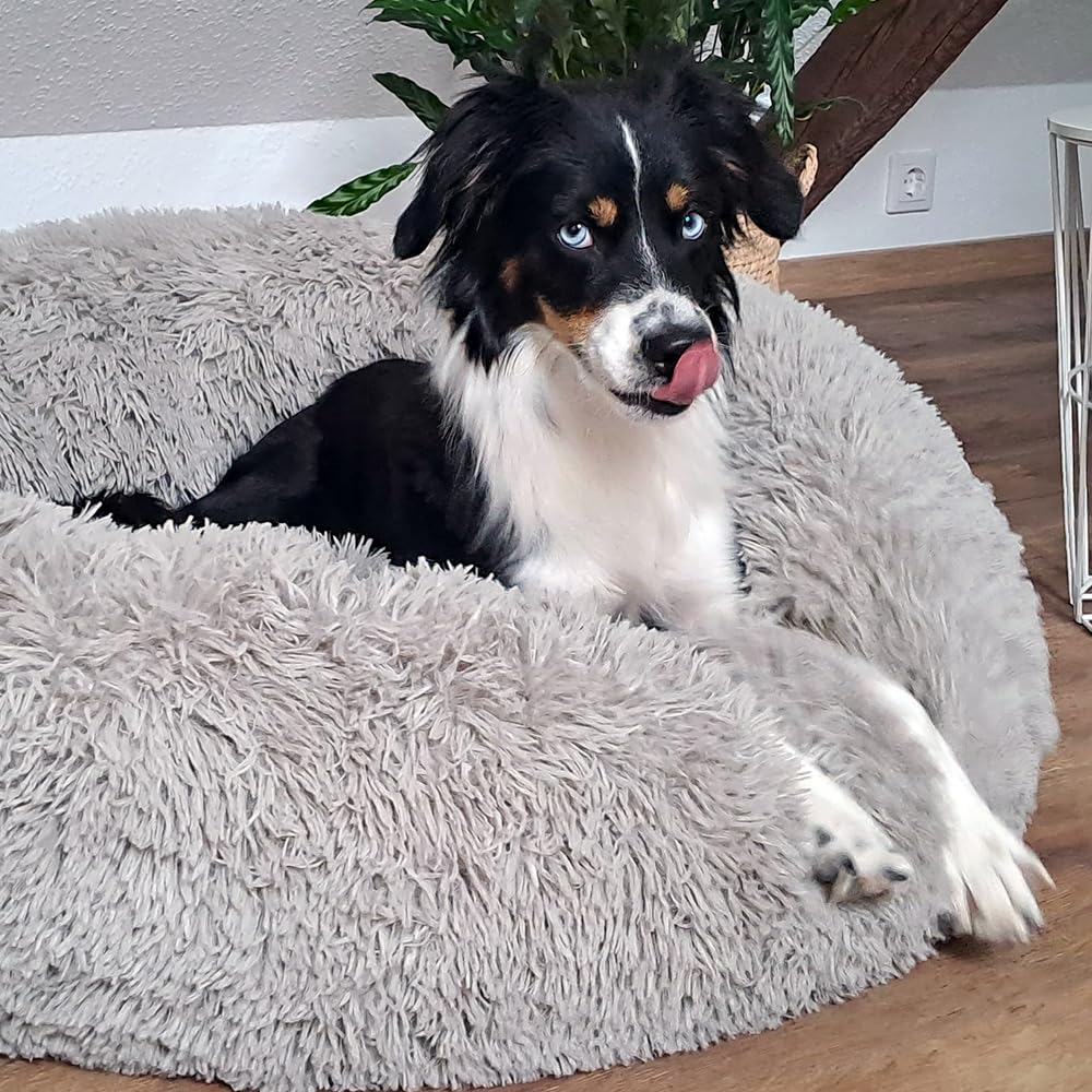 Nobby Kuschelbett Donut „Esla“ – Ø70 Cm, Höhe 26 Cm, Beige, Aus Mikrofaser-Plüsch, Waschbar