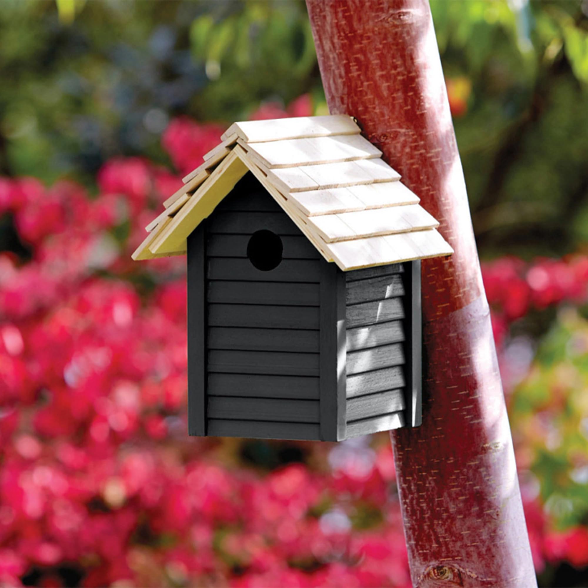 Q&H 2.5L Garden Paint - Super Coverage Long Lasting Matt Finish - Waterproof & Weatherproof - View #7