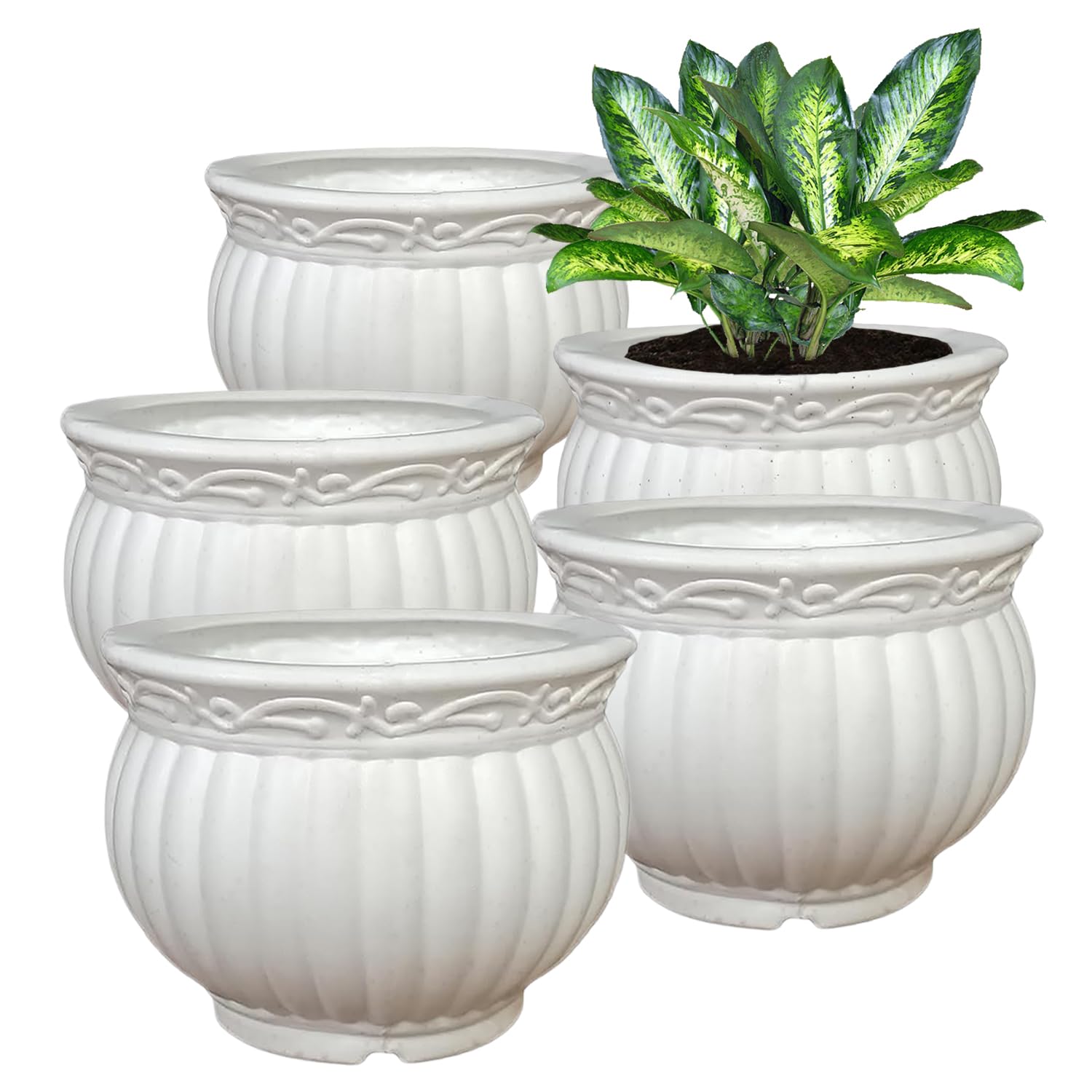 See full amazon price history chart for Heart Home Kanha Matki Flower Pot | Flower Planter Pots for Indoor | Flower Pots for Outdoor | Pot for Garden & Balcony Flowering | Flower Plants Pot | 6 Inch | Pack of 5 | White Heart Home Kanha Matki Flower Pot | Flower Planter Pots for Indoor | Flower Pots for Outdoor | Pot for Garden & Balcony Flowering | Flower Plants Pot | 6 Inch | Pack of 5 | White (B0CKN91ZRL) Amazon Price History, Amazon Price Tracker