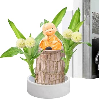 Brazilian Lucky Wood with Statues 10 cm Brazilian Wood Plant Brazilian Wood Plant Brazilian Lucky Tree with Meditation Figure Brazilian Hydroponic Potted Plant
