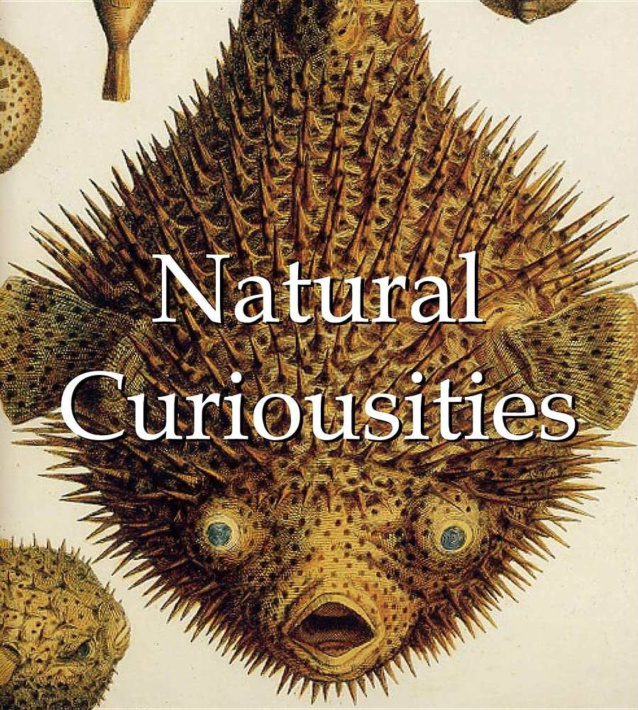 Buy Natural Curiousities — BookShops.in