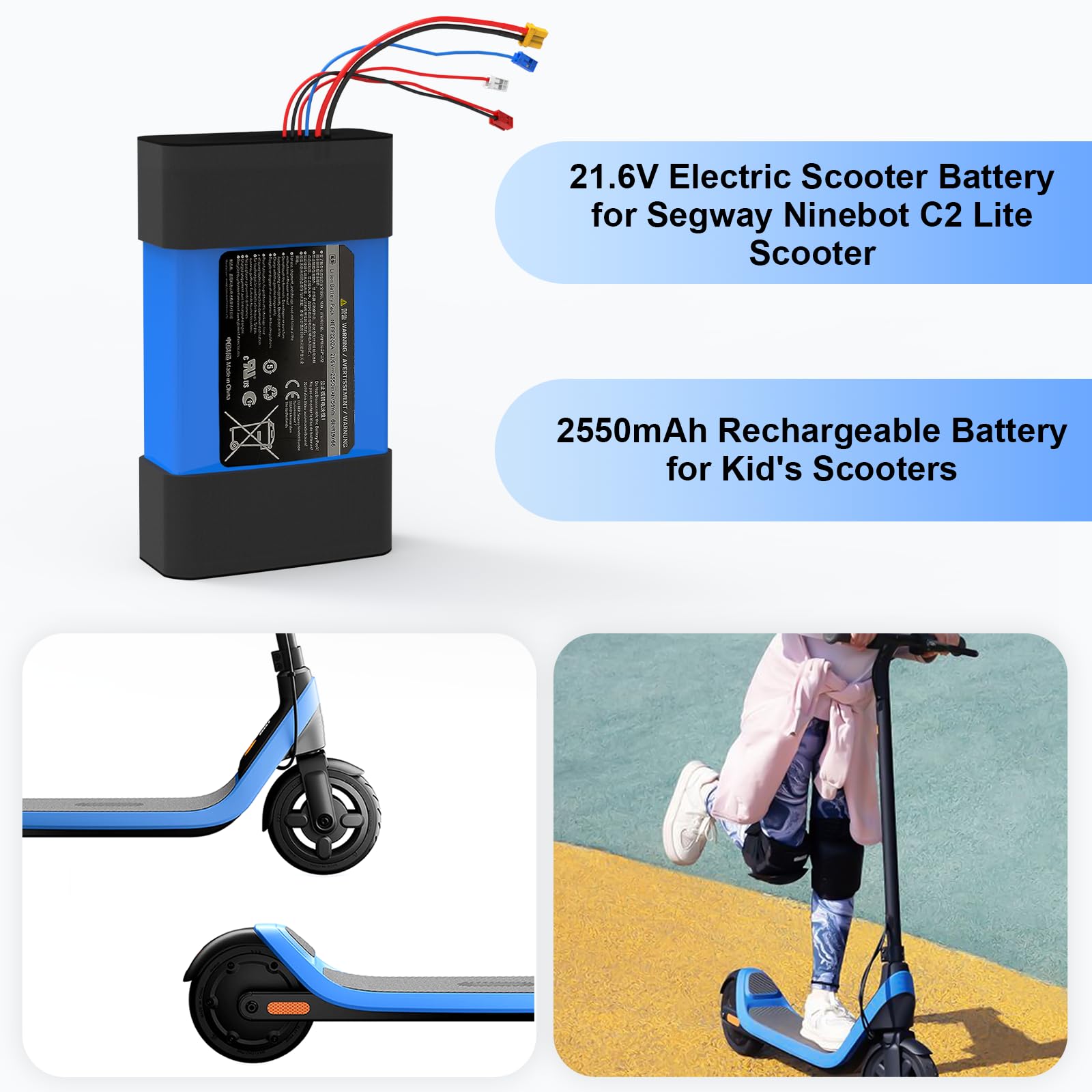 Amazon.com: MLGBDC 21.6V Electric Scooter Battery for Segway