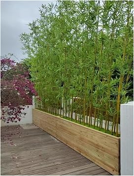 Large Artificial Bamboo Tree Fake Plant Indoor Outdoor 3ft 4ft 5ft 6ft 6.5ft 7ft 8ft Tall, Thin Faux Bamboo Plants with Encrypted Silk Leaves for Yard Privacy Screen Fence DIY Decor(30 Bamboos,2m/6.5f