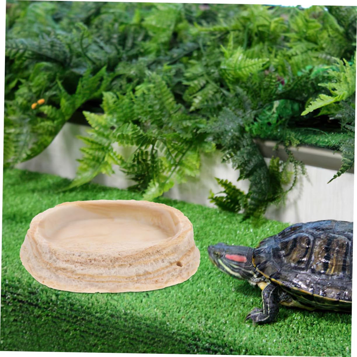 2 Cuencos de Resina para Reptiles, Diseño y Borde Antivuelco, para Reptiles y Ranas en Terrario