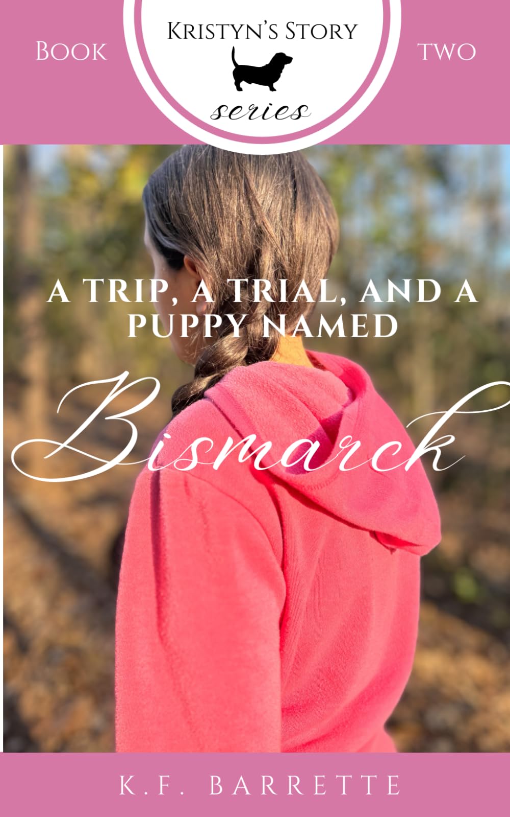 A Trip, A Trial, and a Puppy Named Bismarck: 2 (Kristyn's Story Series)