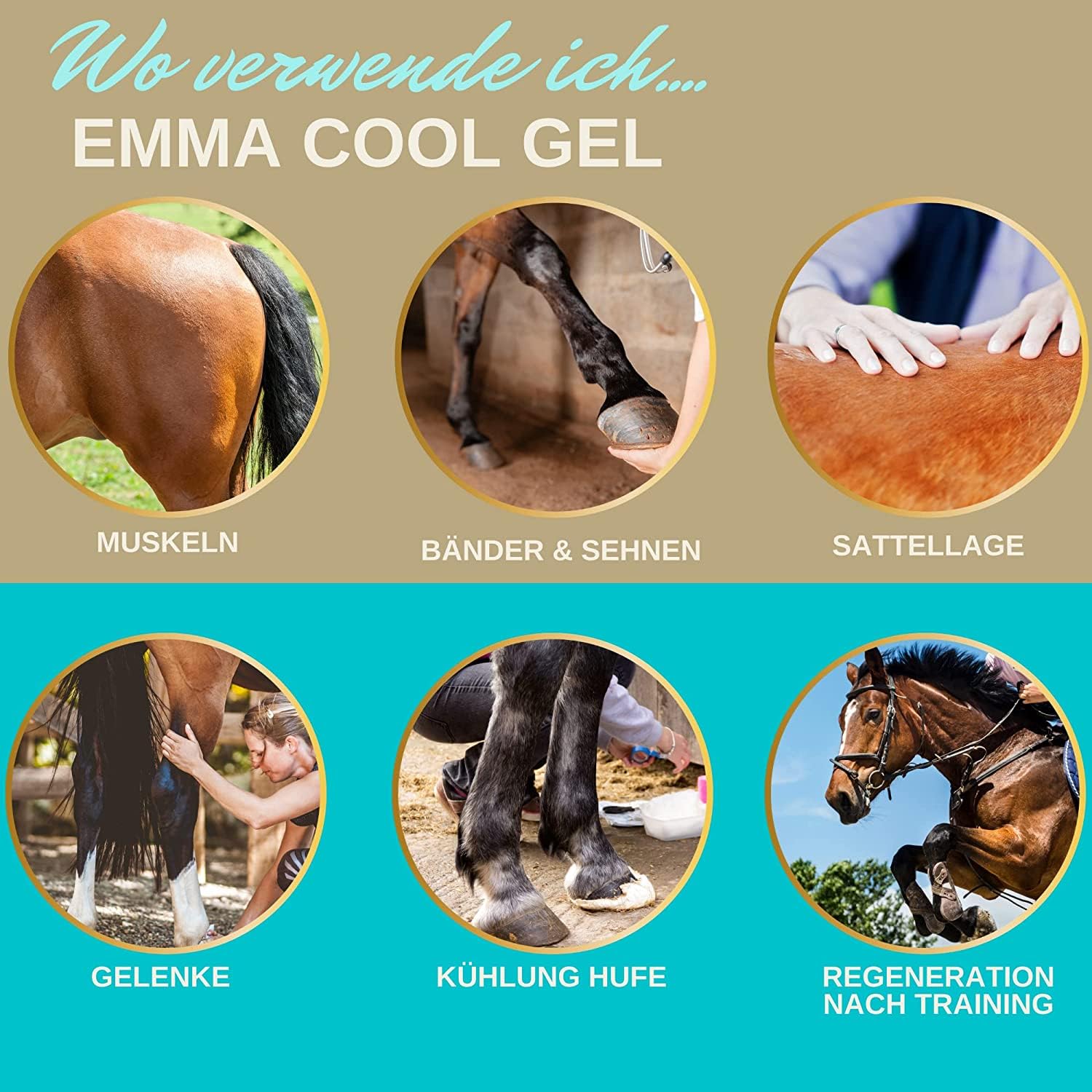 EMMA Gel rinfrescante per cavalli, balsamo per cavalli, rinfrescante, 2 x 1000 ml, balsamo refrigerante per cavalli con unguento di arnica, extra forte, unguento per cavalli, rinfrescante, tendini