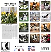 Vista 1069 de Razas de Perros 2017