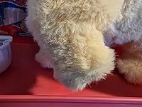 Review Image by The Bryant Family The Bryant Family