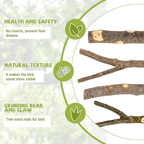 Miniatura 14 de 8 perchas para pájaros de madera natural para jaulas, soporte y plataforma para loros, accesorios para jaulas de pájaros para periquitos, cacatúas