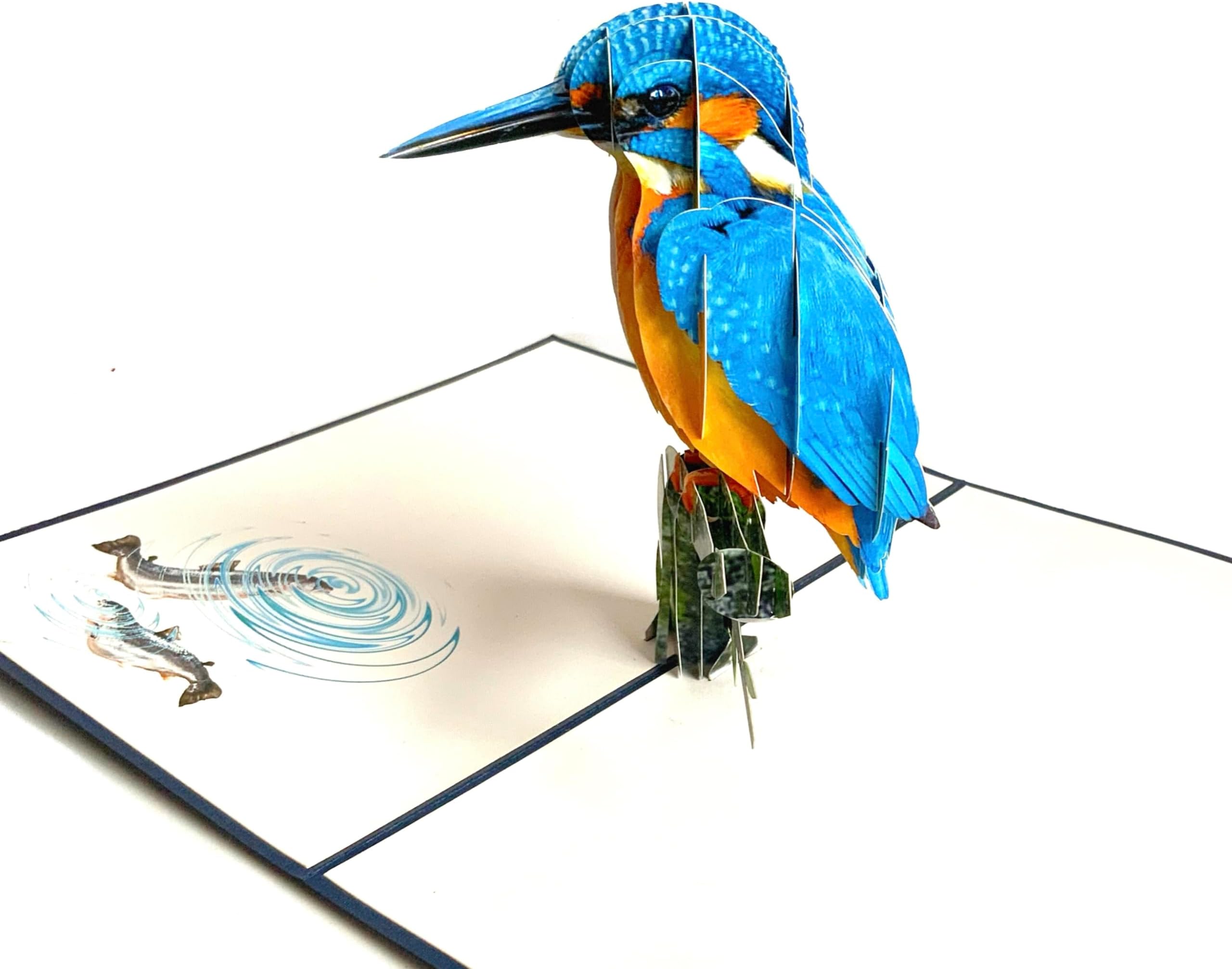 Kingfisher Pop Up Card - 3D Pop Up Cards, Birthday Cards For Woman And Men, Retirement, Handmade Greeting, 3D Birthday, Get Well, Make someone Smile