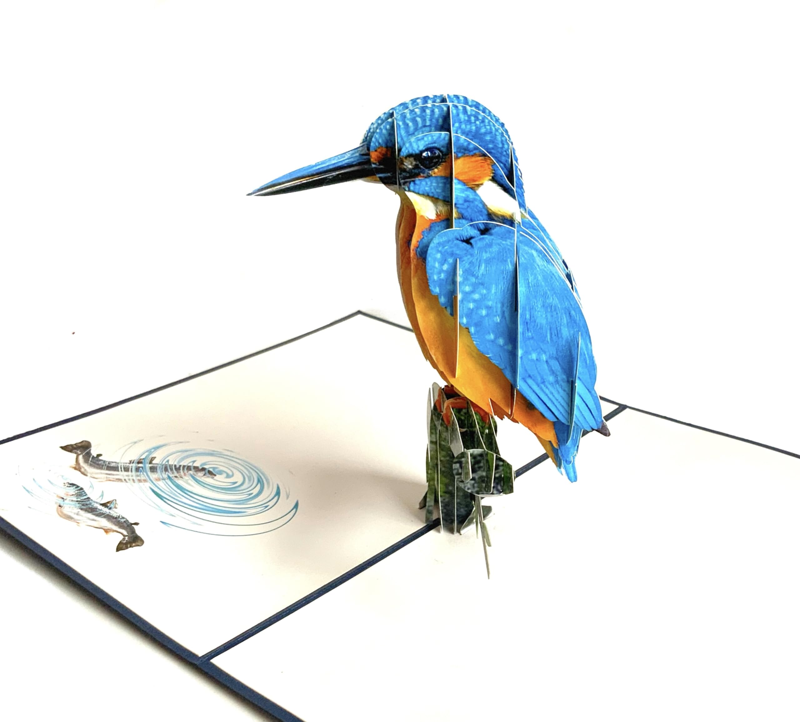 Kingfisher Pop Up Card - 3D Pop Up Cards, Birthday Cards For Woman And Men, Retirement, Handmade Greeting, 3D Birthday, Get Well, Make someone Smile