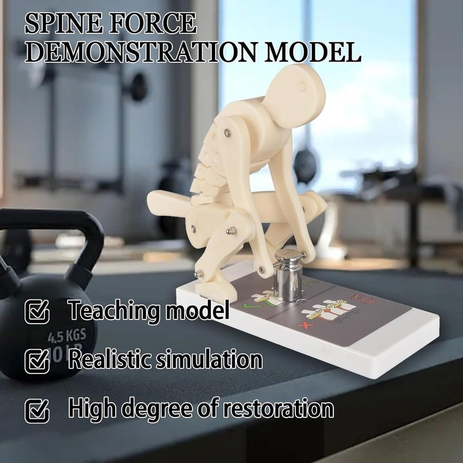 Modelo de elevación Correcta Modelo de demostración de Fuerza de la | Entrenador de postura del cuerpo humano con base, Entrenador interactivo de columna lumbar for anatomía biomecánica