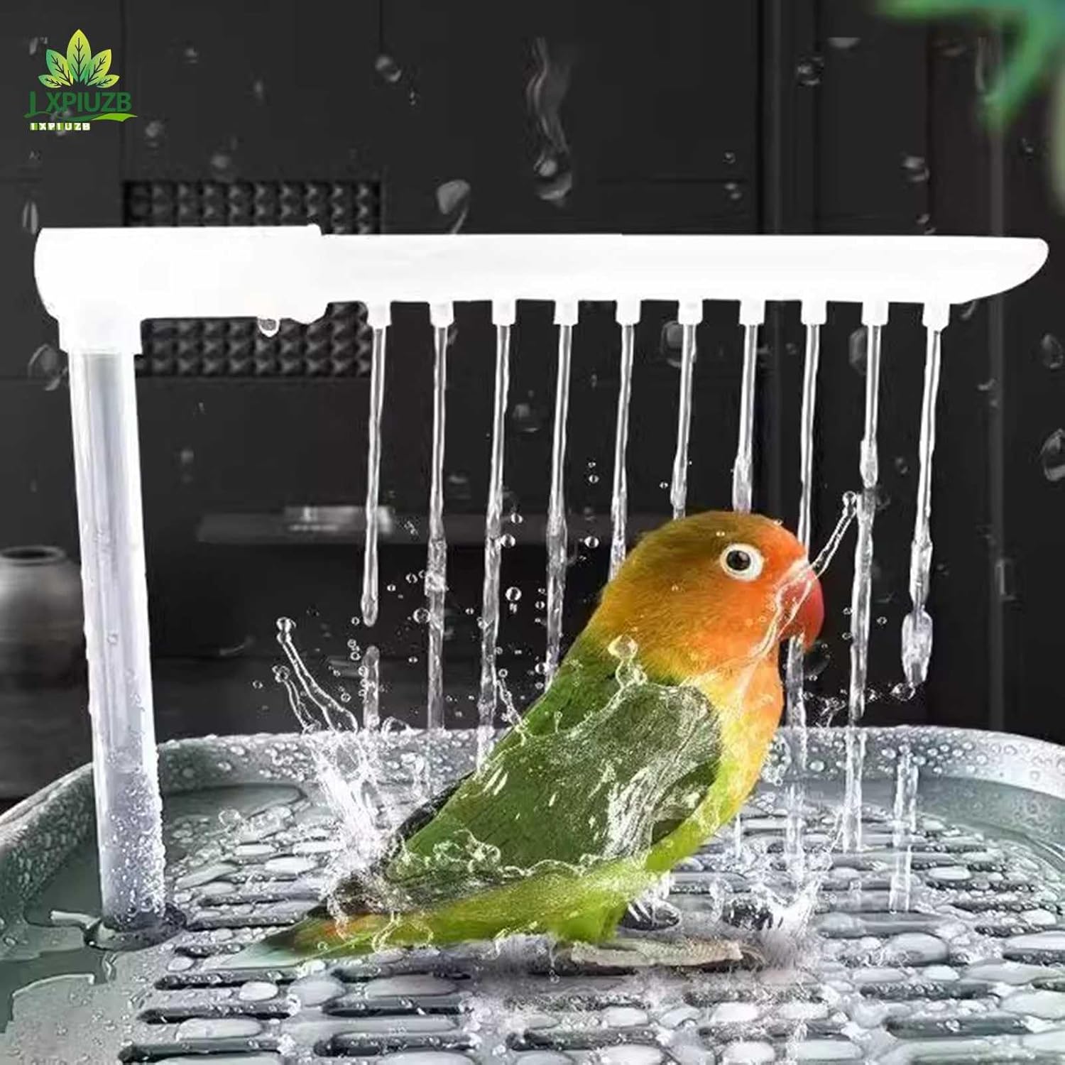 Bath Tub Shower Box for Parakeets - Adjustable Water Speed Bird Bath Cleaning Supplies for Small to Medium Parrots