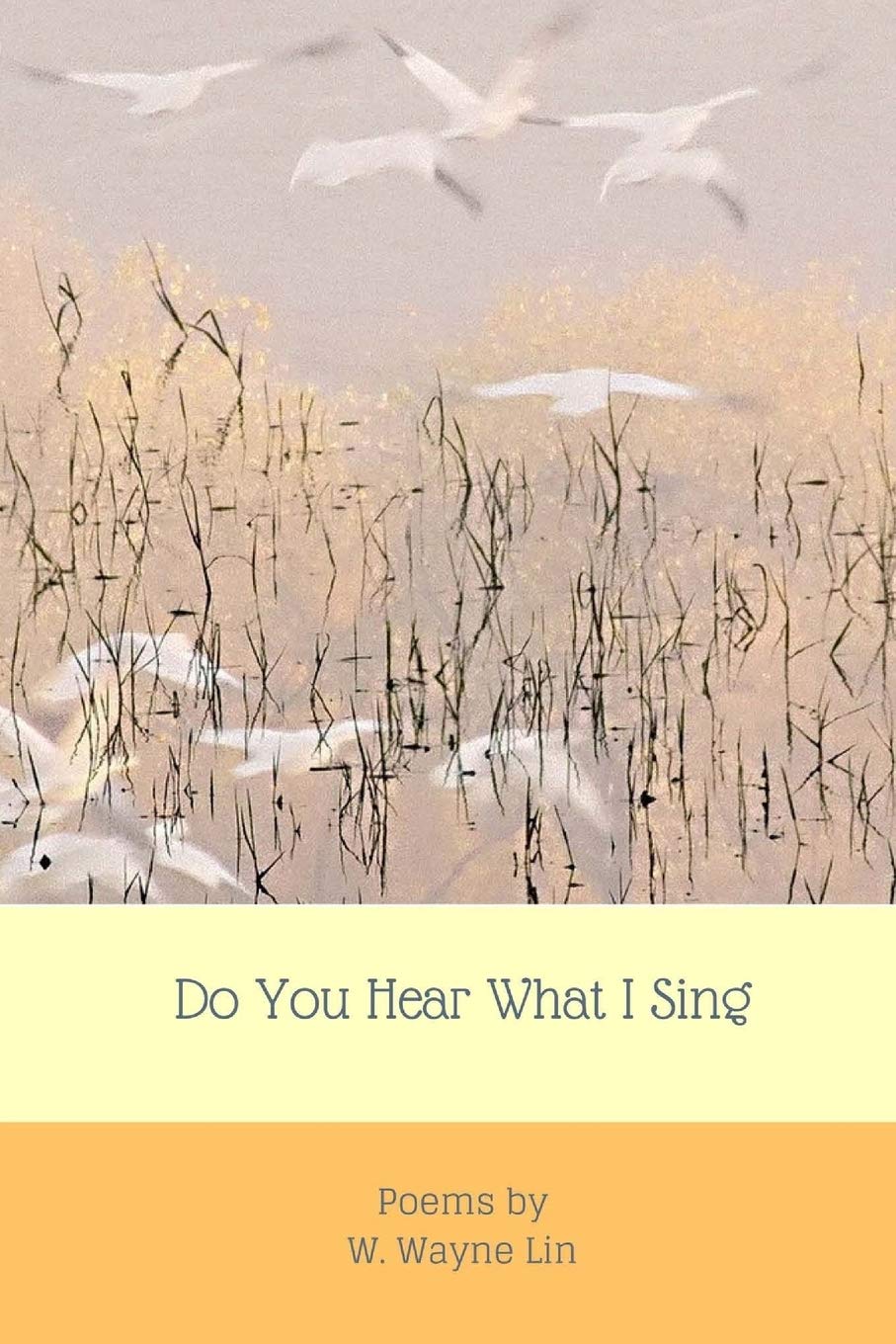 Do You Hear What I Sing