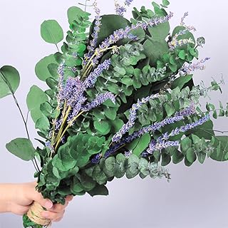 115 PCS Large Dried Preserved Eucalyptus Stems & Lavender Flowers Bundle for Shower, 17'' Real Fresh Hanging Silver Dollar Leaves, Aromatic Self-Care Shower Plants, Natural Fragrance, Home Decor