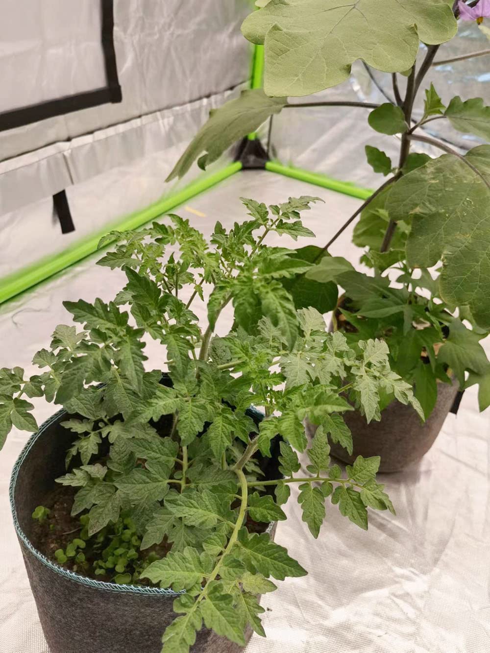 HORTIPOTS Doniczki materiałowe 15 l Non So Floppy Air Pruning Smart Grow, worki do uprawy, czarno-szare (opakowanie 10 szt.)