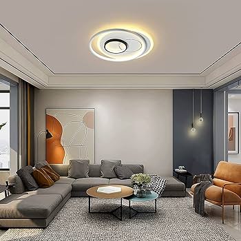 ZALix Modern Ceiling Light Fixture Creative Round Ceiling
