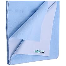 Newnik Waterproof Dry Sheet/Reusable MAT/UNDERPAD/Absorbent Sheets/Mattress Protector Sky Blue, Small