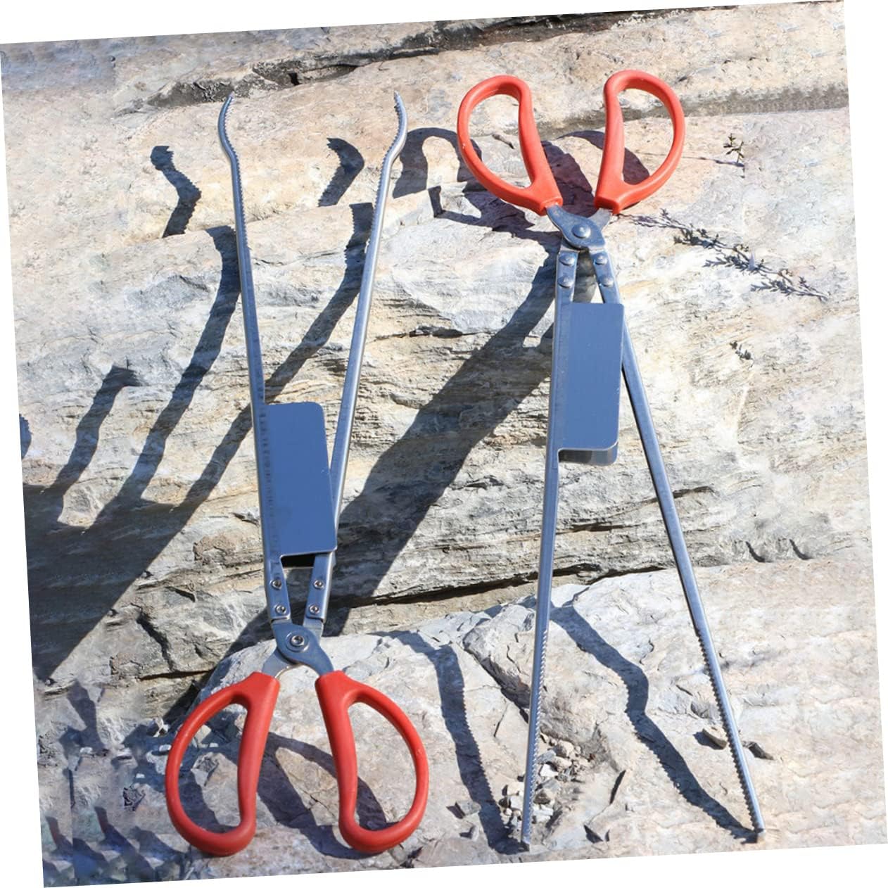 LIFKOME Multifunctional Anti-Slip Eel Clip and Clamp Stainless Steel Kitchen Gadget for Crabs and Lobsters Comfortable to Hold Tool