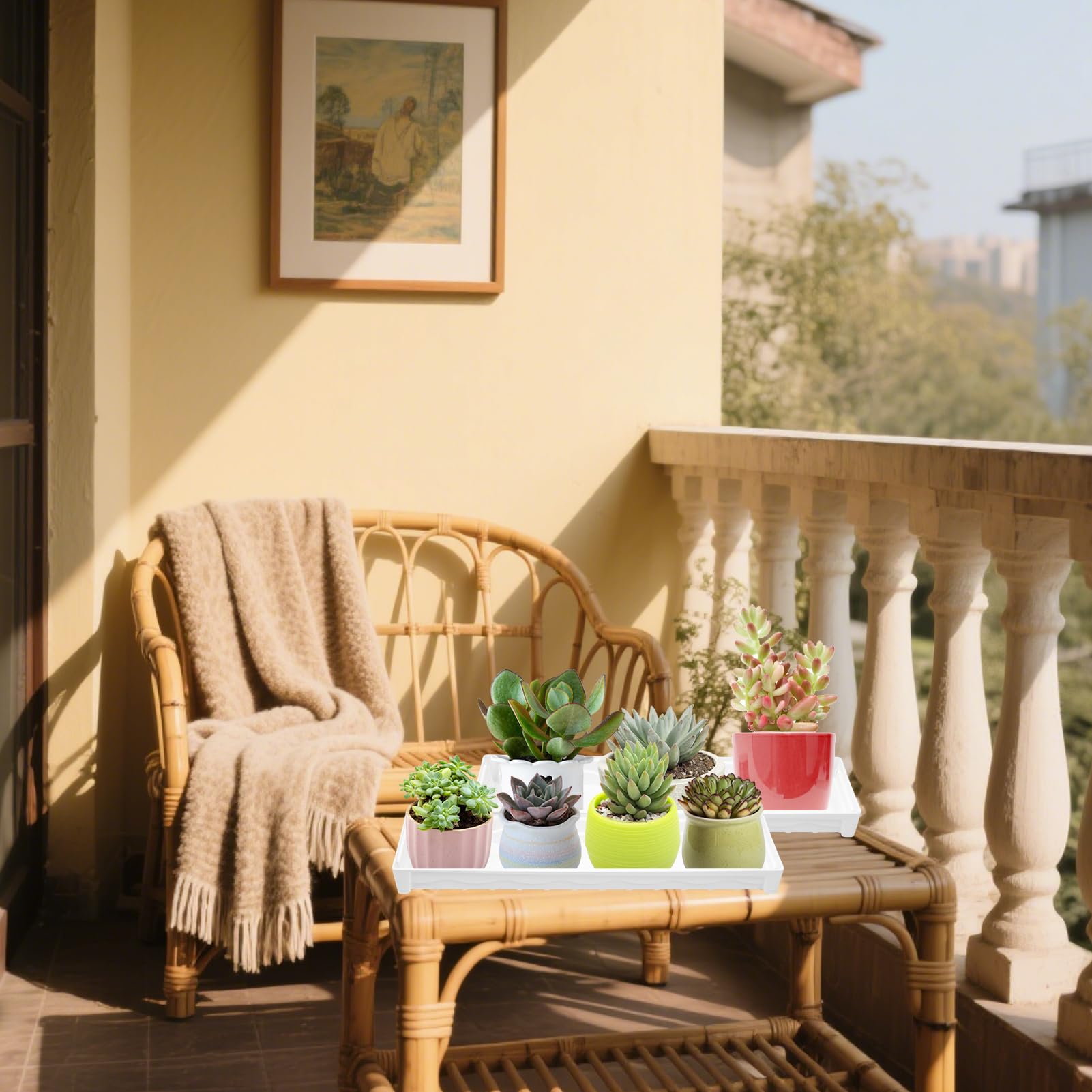 Amazon.com : 6 PCS Plastic Plant Tray Saucer, Rectangular Window Sill Plant  Tray for Indoors Outdoor Flower Pots for Window Shelf, Clear Thick Plastic  Plant Trays for Succulent Pot Planter, Square Plant