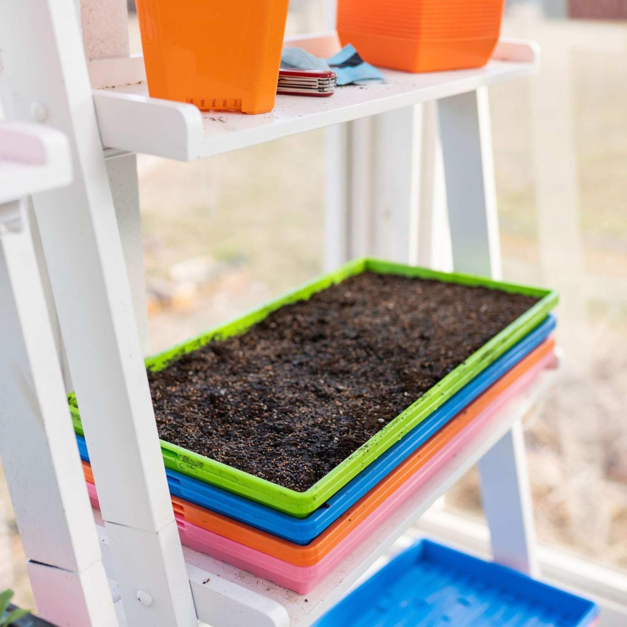 Bandejas Microgreen, multicolor, paquete de 30, sin agujeros