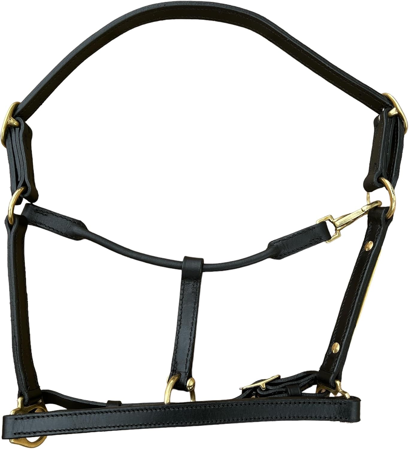 Leaders 3/4" Leather Halter for Horses with Customized Engraved Name Plate Black Leather with Solid Brass Hardware