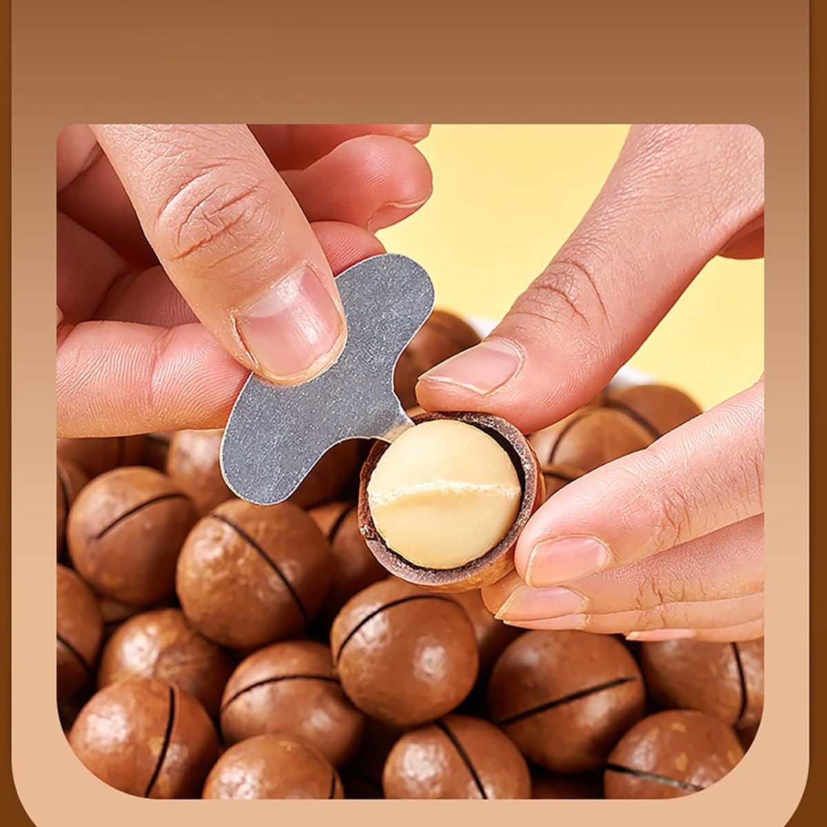 Nueces De Macadamia Premium 500g - Nueces Enteras En Cáscara Con Abridor | Nueces de macadamia gigantes 22-26mm con sabor cremoso. Incluye llave abridora de metal para pelar fácilmente.