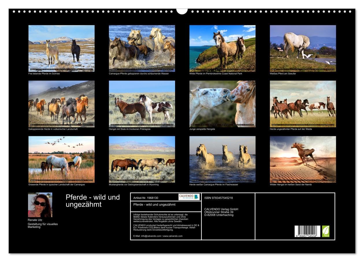 Pferde - wild und ungezähmt (Wandkalender 2026 DIN A2 quer), CALVENDO Monatskalender: Traumhafte Bilder frei lebender Pferderassen in ursprünglichen Naturlandschaften (CALVENDO Tiere)