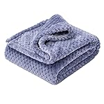 Fuzzy Blanket or Fluffy Blanket for Baby Girl or boy, Soft Warm Cozy Coral Fleece Toddler, Infant or Newborn Receiving Blanket for Crib, Stroller, Travel, Decorative (4060, Pearl Blue)