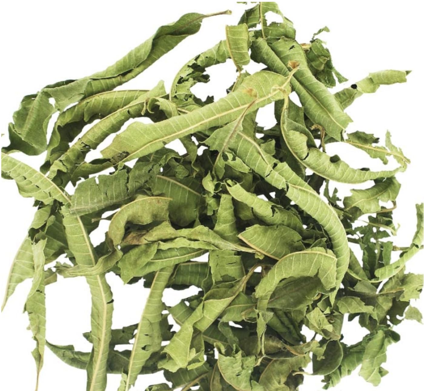 500g Verveine Citronnée - Feuilles Entières Séchées - Aloysia Citrodora - Tisane Infusion - Sommeil et Détente - 100% Naturel, Pur et Sans Additifs | Qualité Supérieure