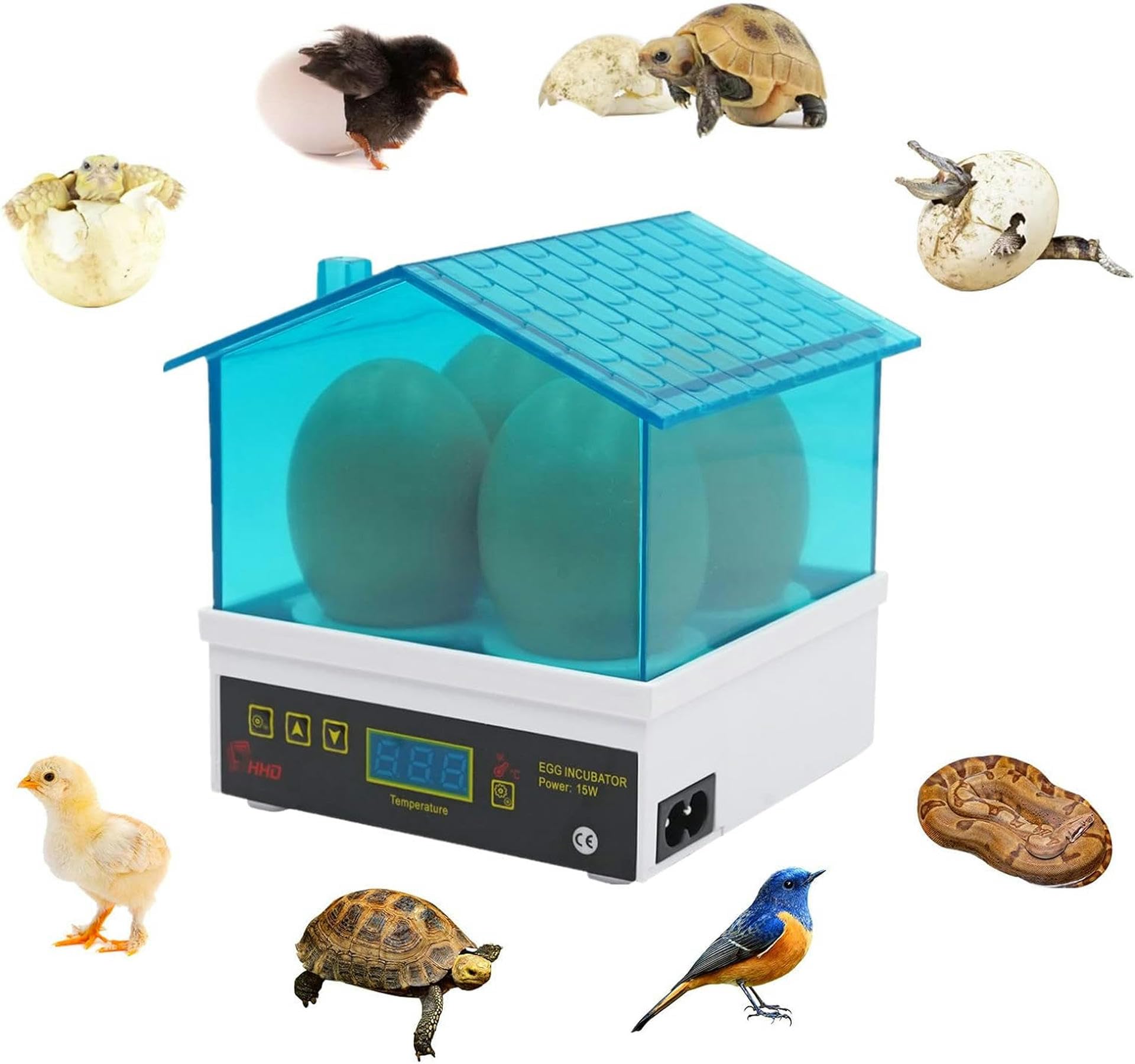 Mini incubateur 4 œufs pour Poules, contrôle de la température des œufs éclos, avec écran LED numérique, pour volailles, Canards, Oiseaux, Poules, œufs de caille