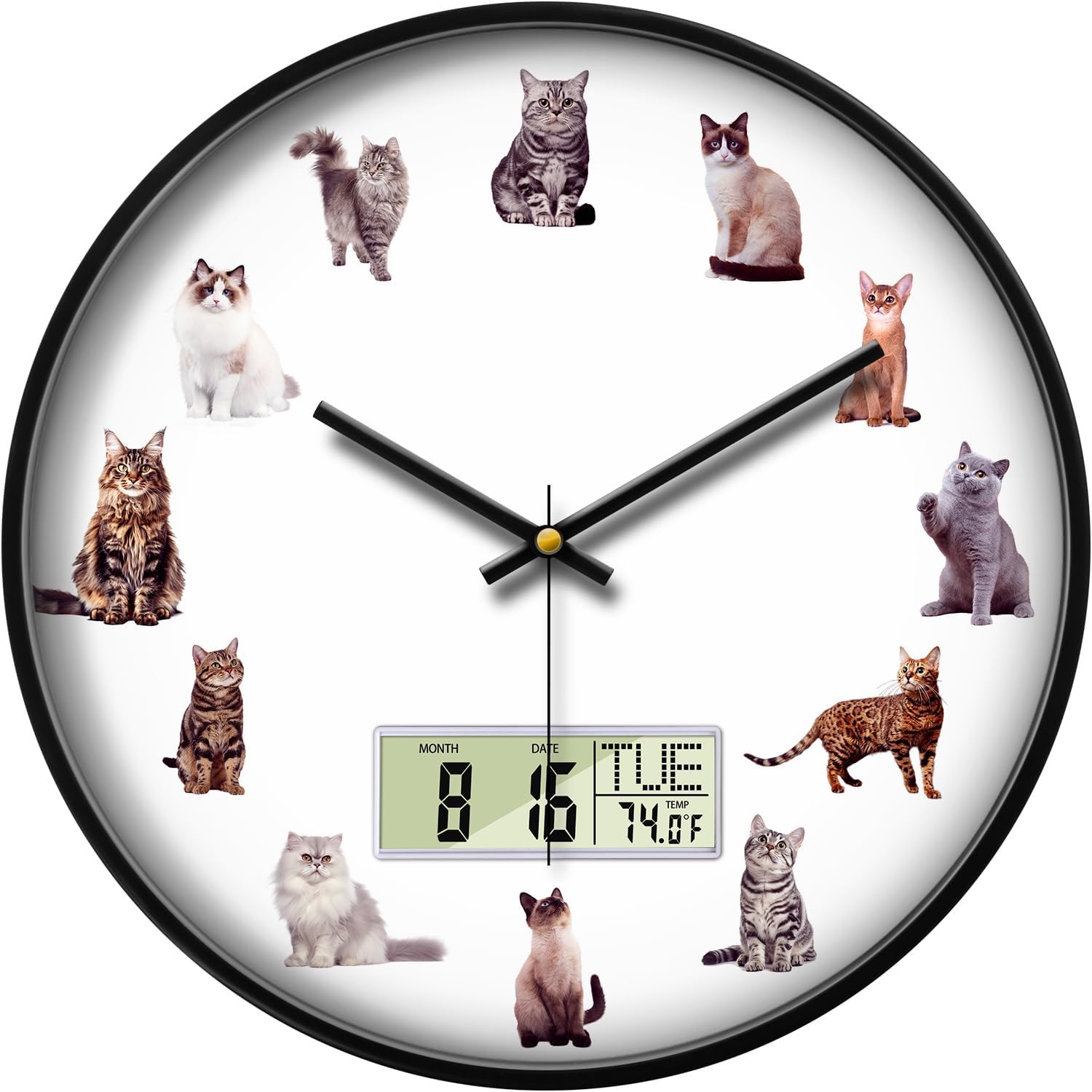 Large Display Modern LCD Clock with Calendar and Date Temperature Funny Cats Silent Battery Operated Digital Wall Clocks Non-Ticking Clock for Bathroom Kitchen Bedroom Living Room Decor 14 Inch