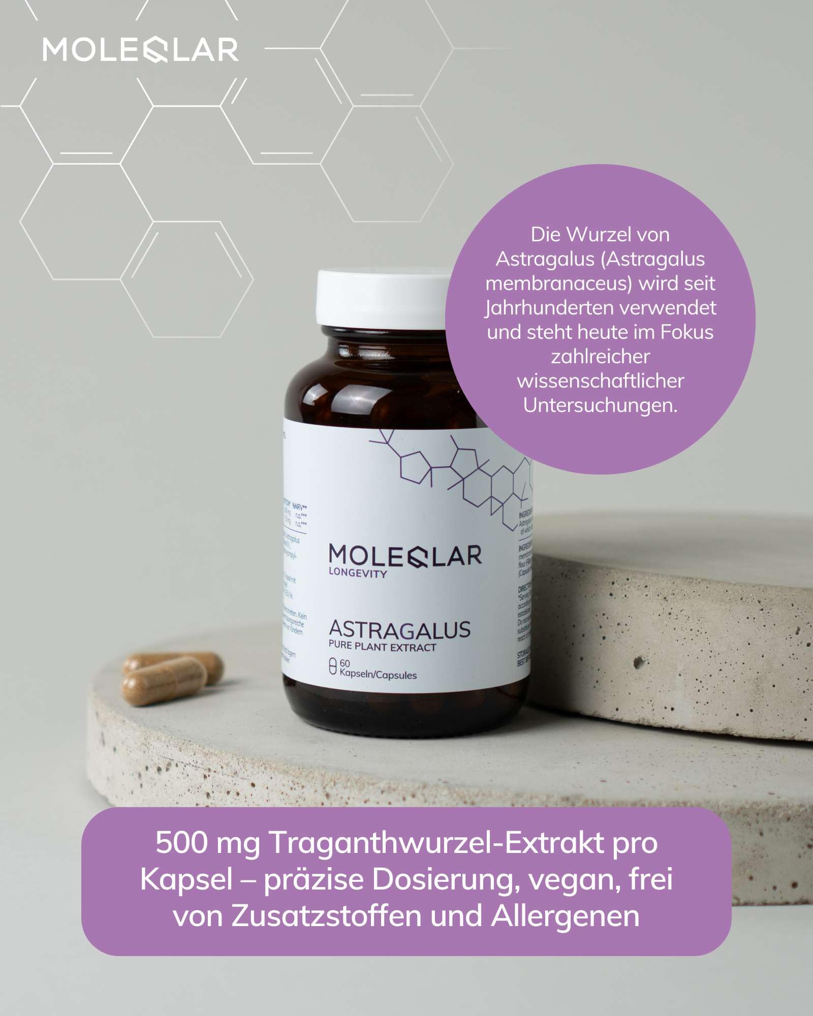 MoleQlar Astragalus Kapseln 60 Stück - 50 mg Astragalosid pro Kapsel - Traganthwurzelextrakt - Laborgeprüft und standardisiert