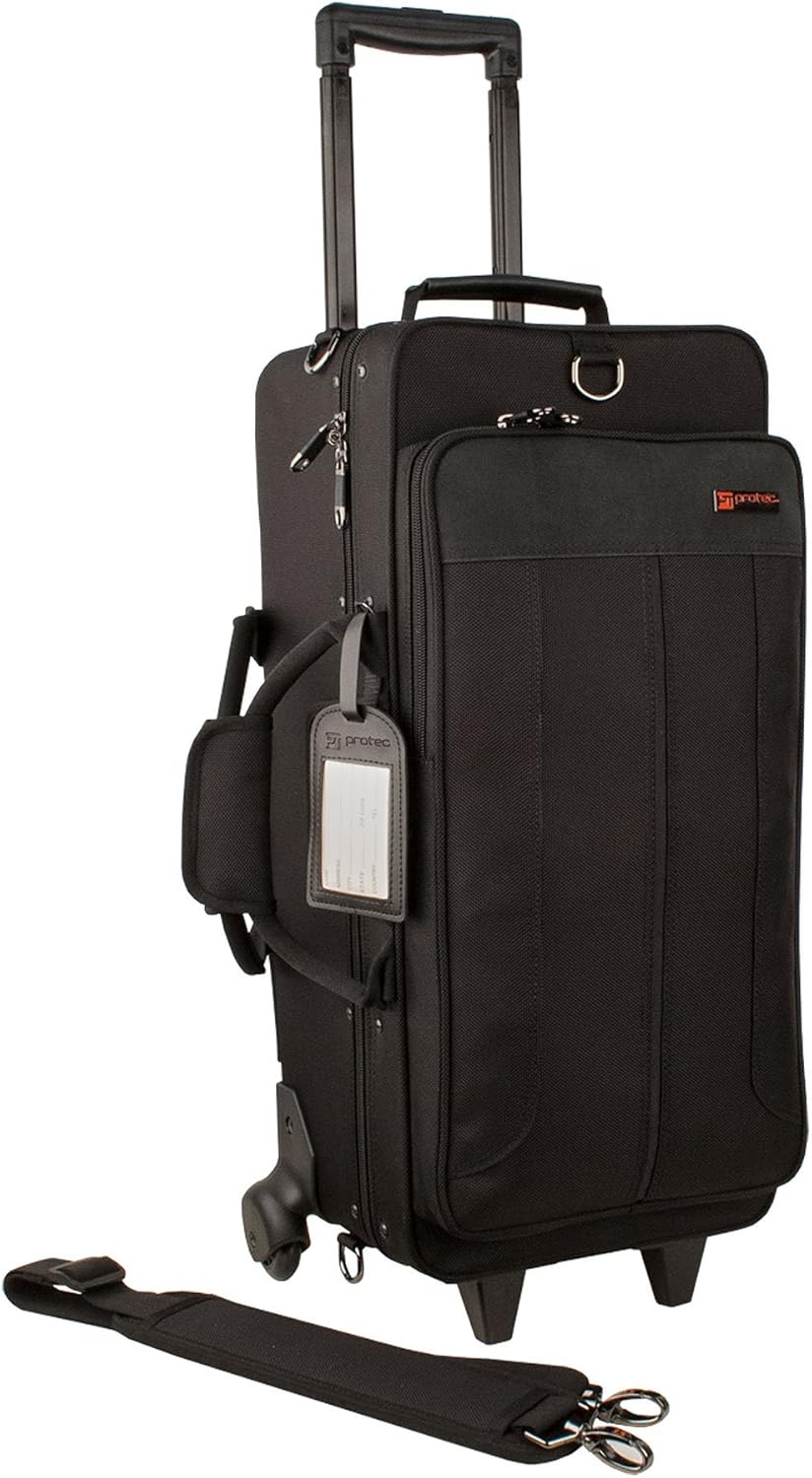 Protec IPAC Double Trumpet Case, Model IP301D