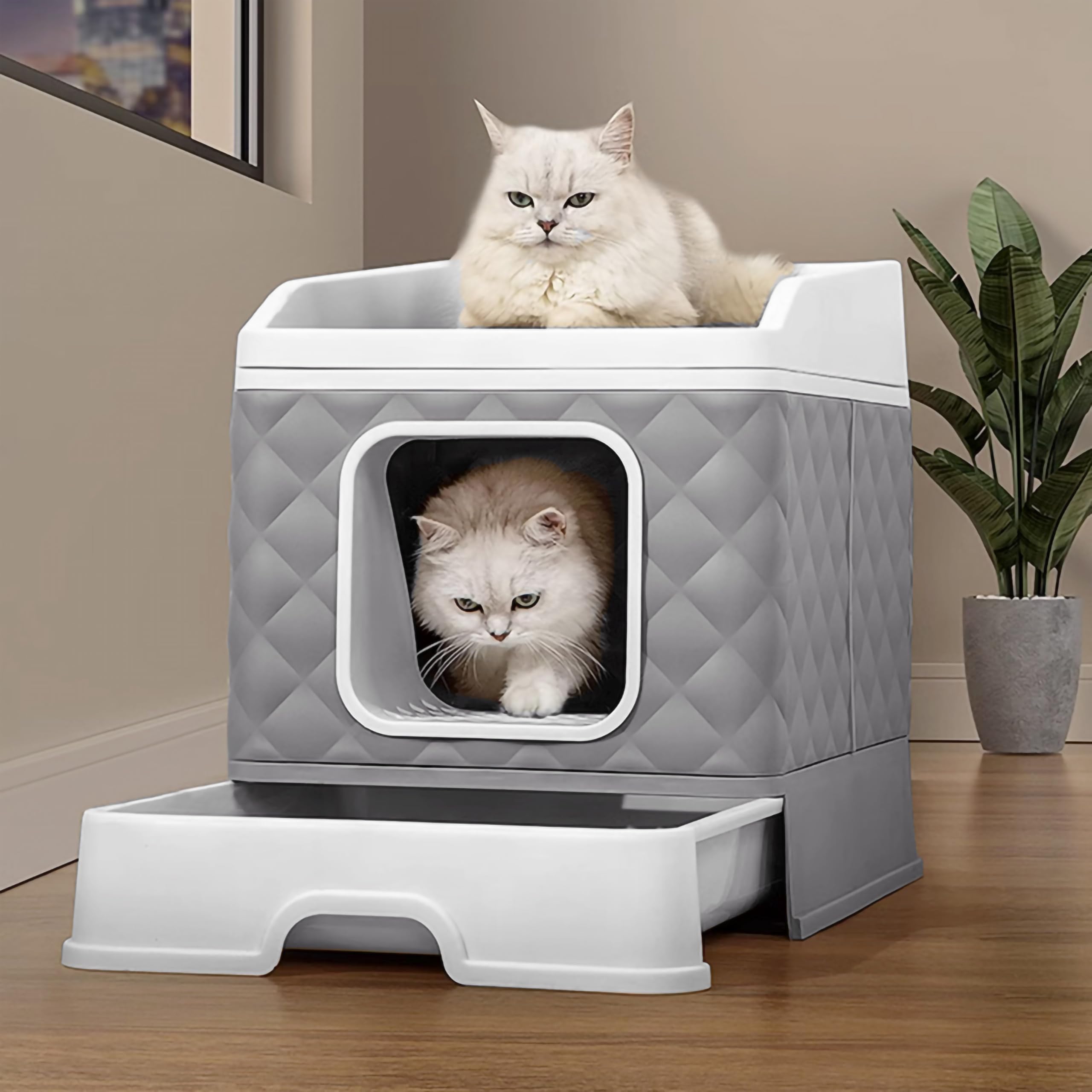 XXL Katzentoilette mit Deckel – Geschlossene Katzenklo mit Schublade, Kratzmatte & Schaufel – Geruchsdicht, hygienisch, ideal für große Katzen - grau (Grau)
