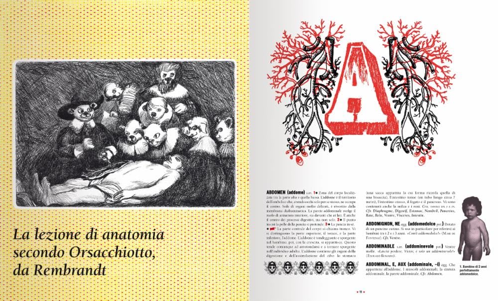 Dizionario folle del corpo. Ediz. a colori