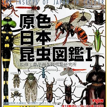 原色日本昆虫図鑑 全4巻セット 原色日本昆虫図鑑 全4巻セット