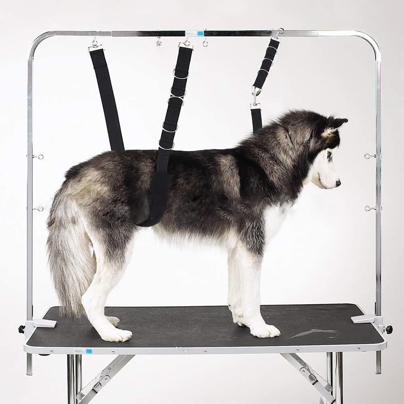 Paquet De 3 Sangles De Table De Toilettage Pour Animaux | Laisse À Boucle D'extension En Nylon | Sangle De Bras De Toilettage Pour Chien Et Chat, Accessoire De Table De Marié Sécurisé Et Réglable Pour