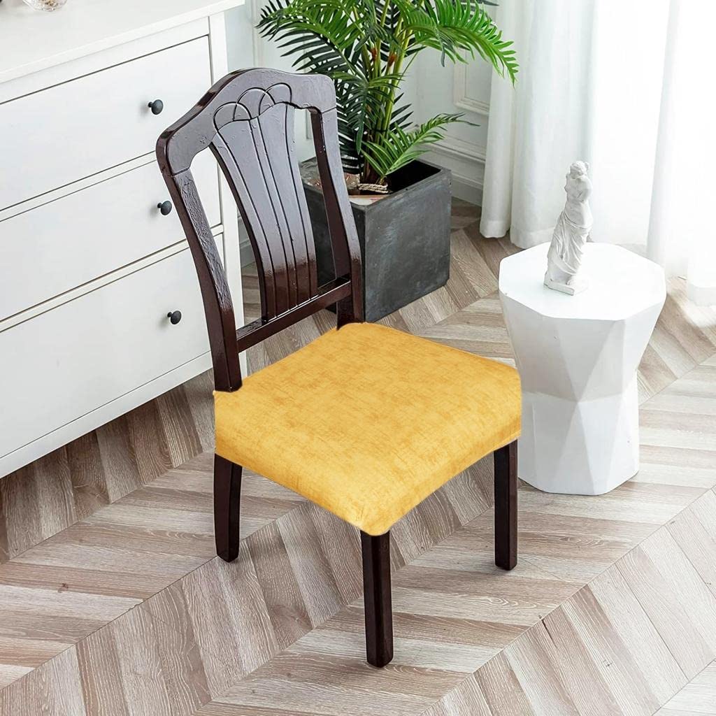 TRENDECOR Dining Chair Seat Cover Set of 2 Seater pcs are Easily Washable Stretchable and Comfortable for Dining Room Home Decor Slip Cover Universal Size (B0C3XJ8LFD) Amazon Price History, Amazon Price Tracker