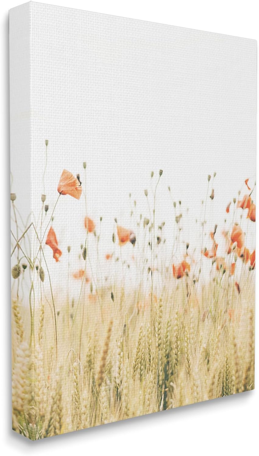 Stupell Industries Rural Poppy Meadow Canvas Wall Art by Krista Broadway