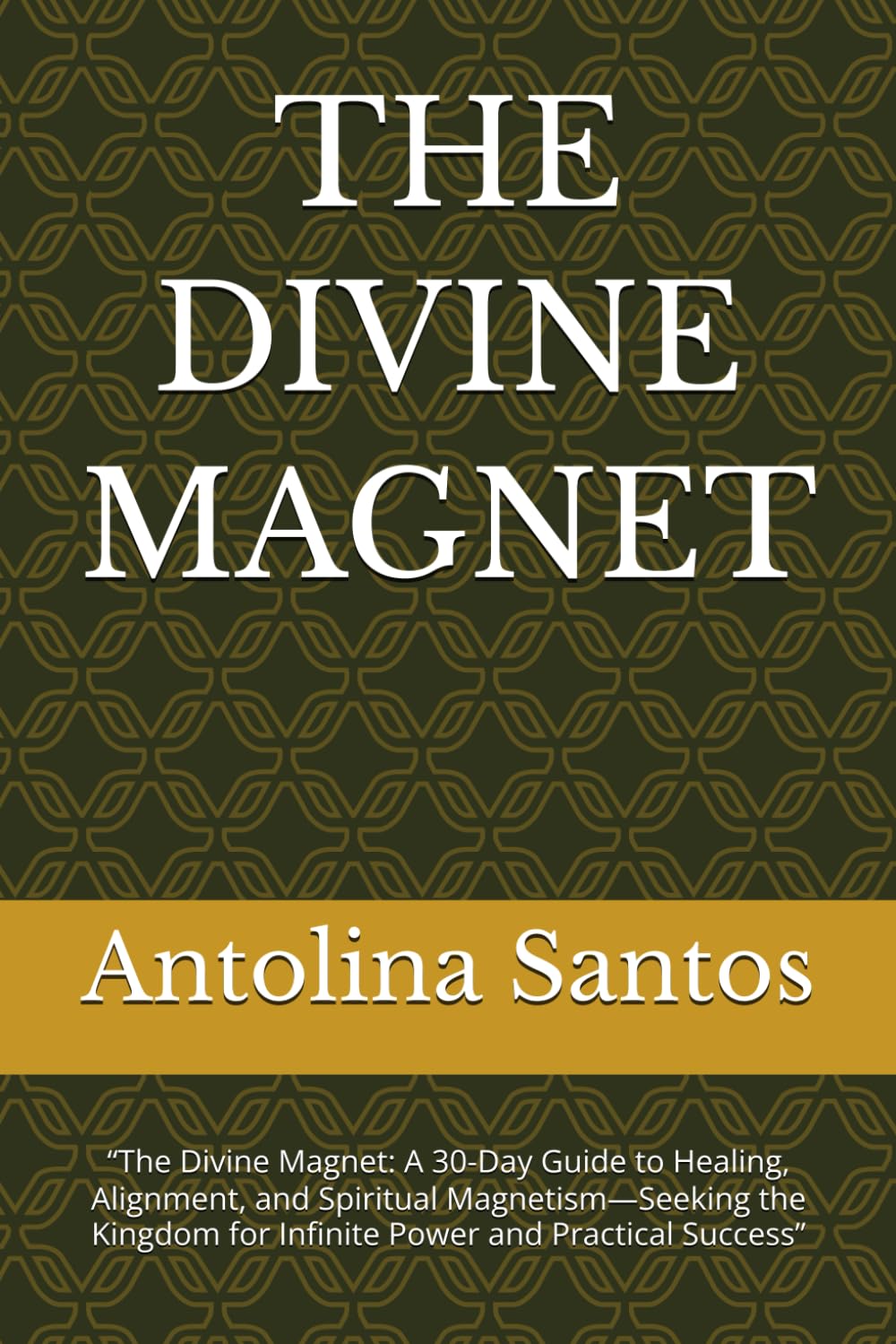 THE DIVINE MAGNET: “The Divine Magnet: A 30-Day Guide to Healing, Alignment, and Spiritual Magnetism—Seeking the Kingdom for Infinite Power and Practical Success”