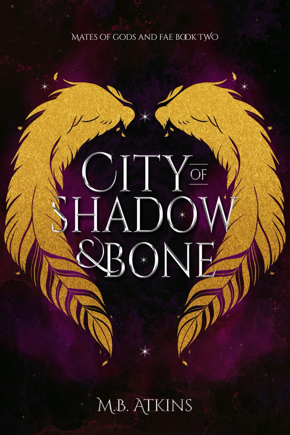 City of Shadow and Bone: Mates of Gods and Fae Book 2
