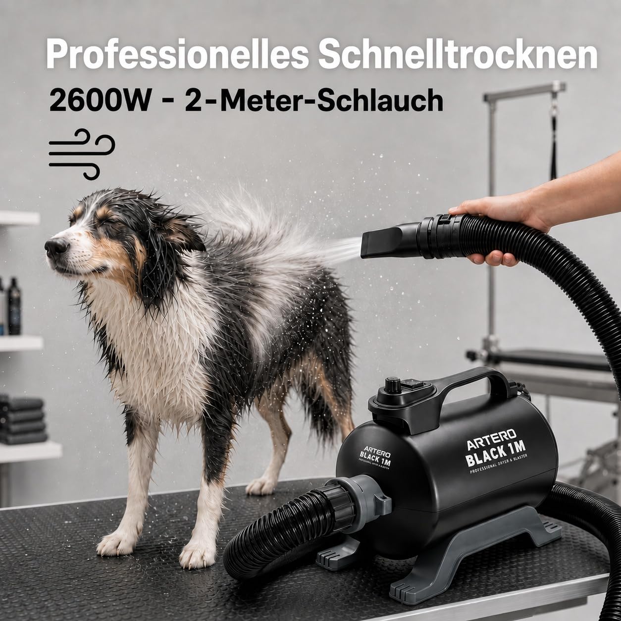 Artero Black. Blaster 1 Motor – Professioneller Hundeföhn, Hohe Leistung und Schnelles Trocknen des Fells
