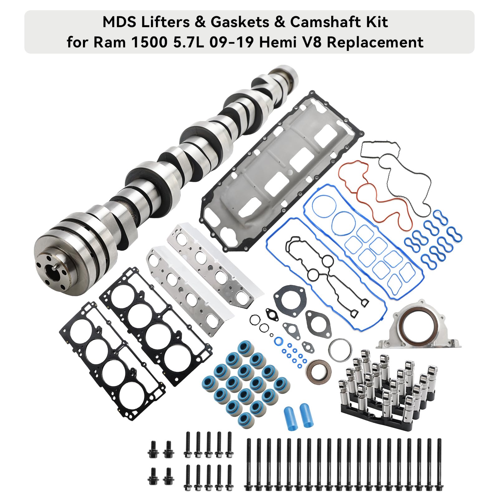 MAD HORNETS MDS Lifters & Gaskets - Product View