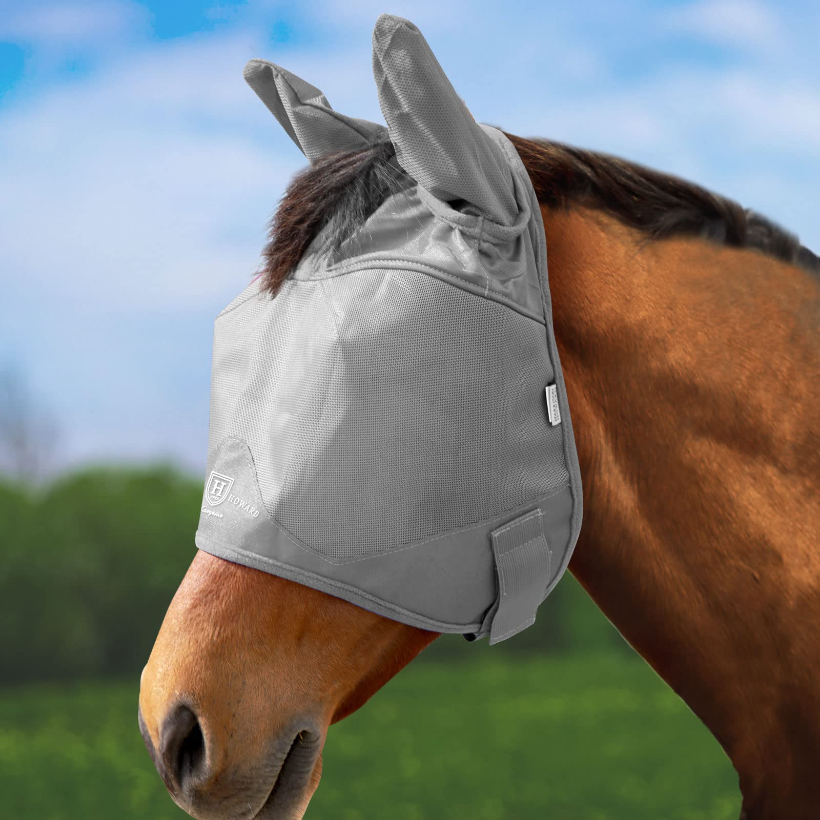 œil Jungle amazonienne Raccourcis masque tissu cheval Hébergement autorité Centr